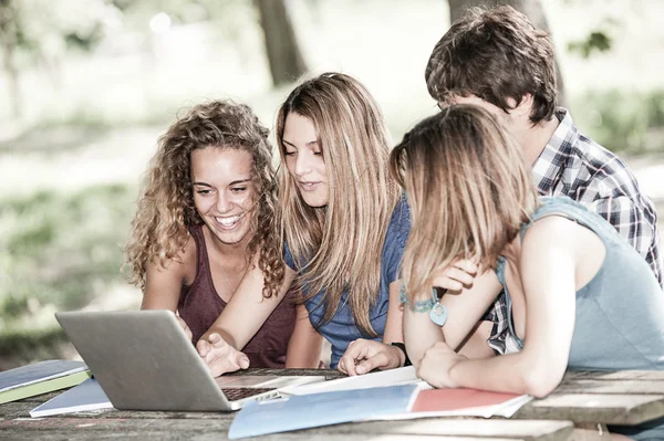 Group of young student using laptop outdoor,Italy