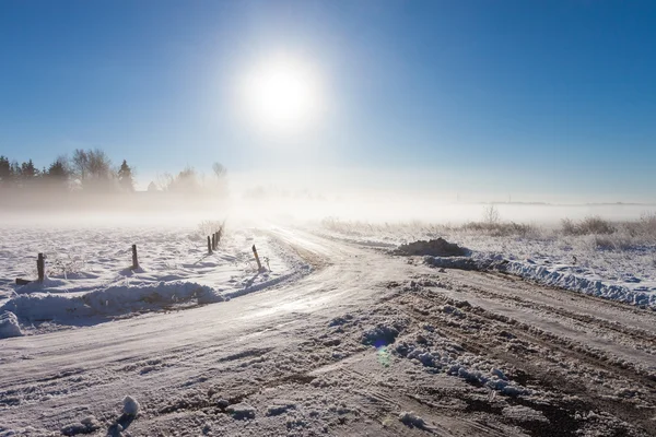 Winter landscape at fog with road