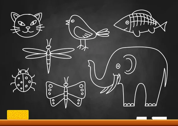 Drawings of animals on blackboard