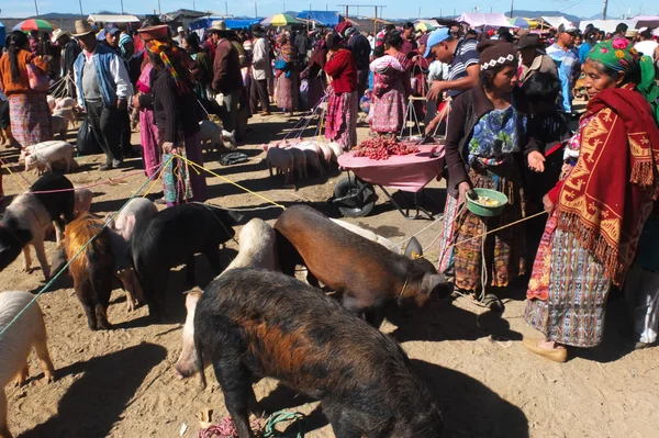 Animals vendors are wearing traditional colored clothes at the market.