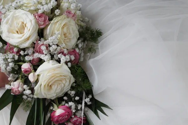 White roses on white background