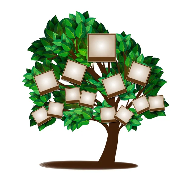 Family Tree Outline Template Google Images Search Engine Picture Family Tree Outline Template Google Images Search Engine Picture