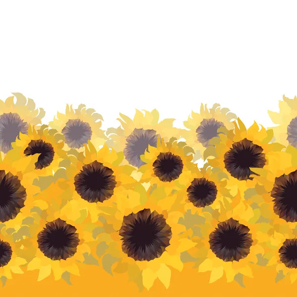 Sunflower flower seamless background.