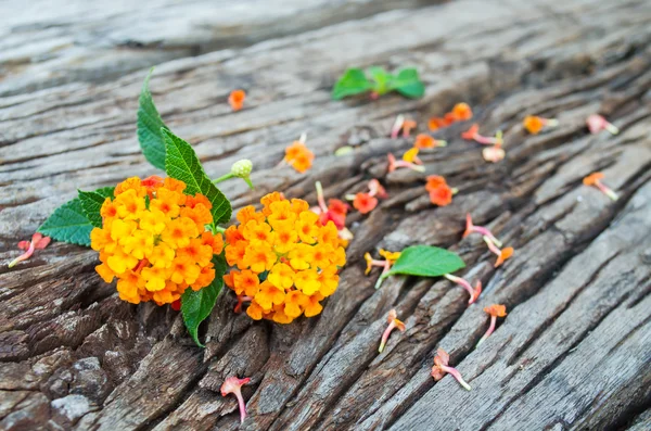 Lantana flower on wood ground