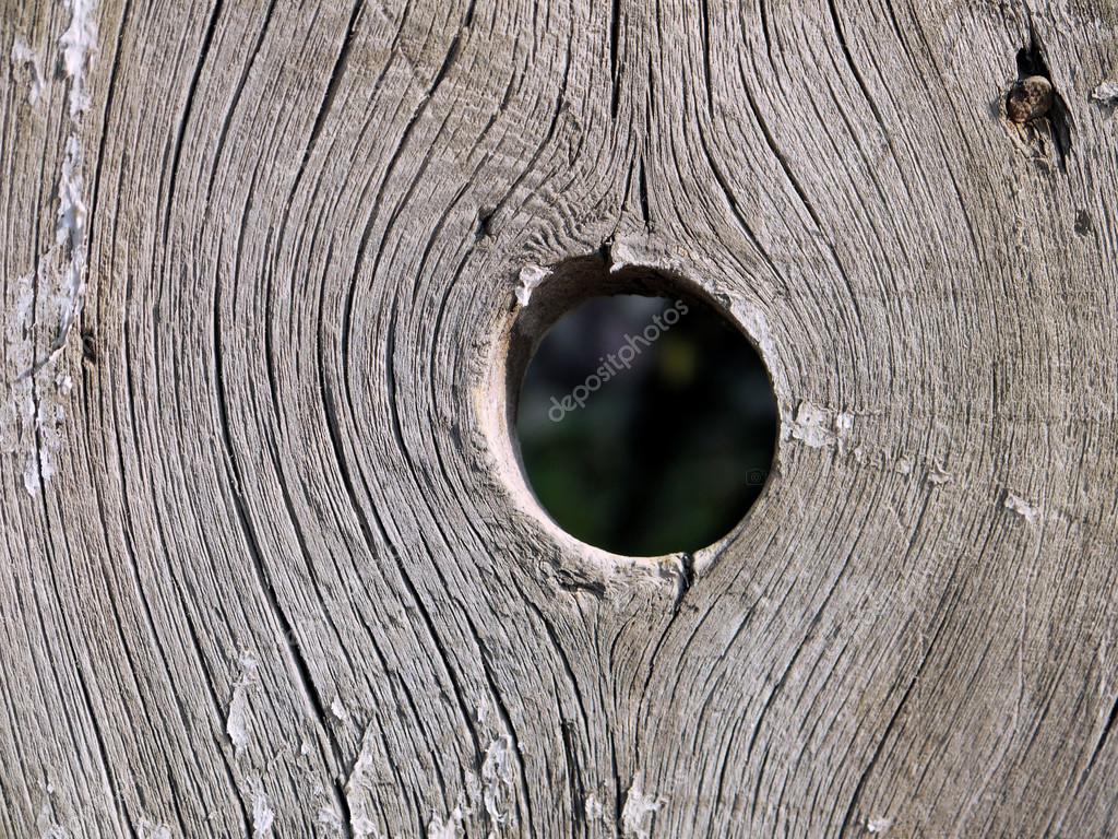 The Hole In The Wooden Fence — Stock Photo © Peshyuri 13366098