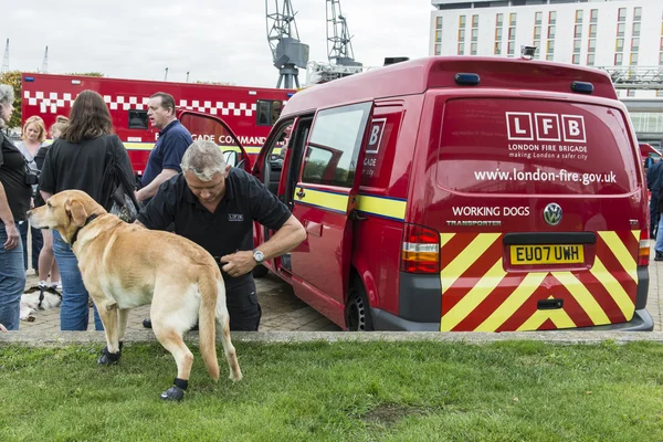 LONDON, UK - OCTOBER 20: A fire brigade dog is prepared to demon