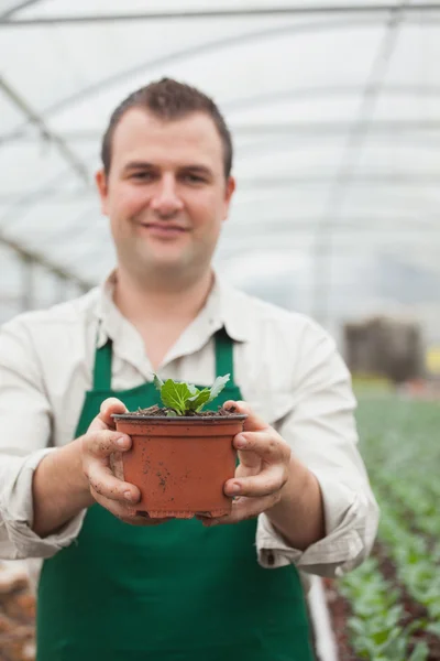 Cheerful gardener holding a plant