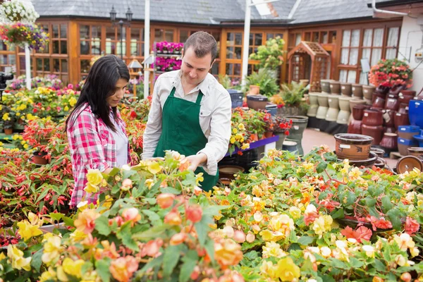 Customer and worker standing at a flowerbed