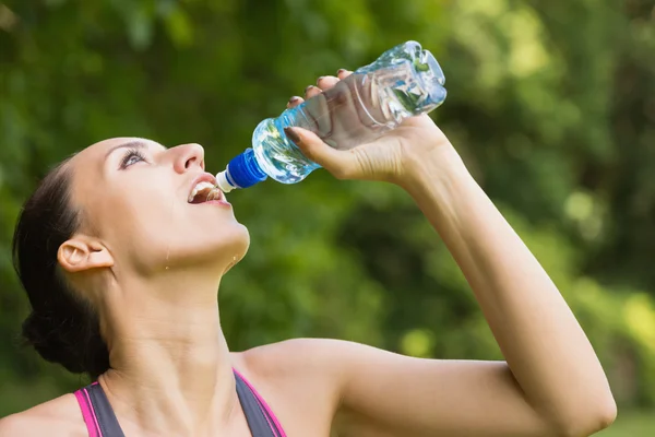 Fit woman drinking water from sports bottle