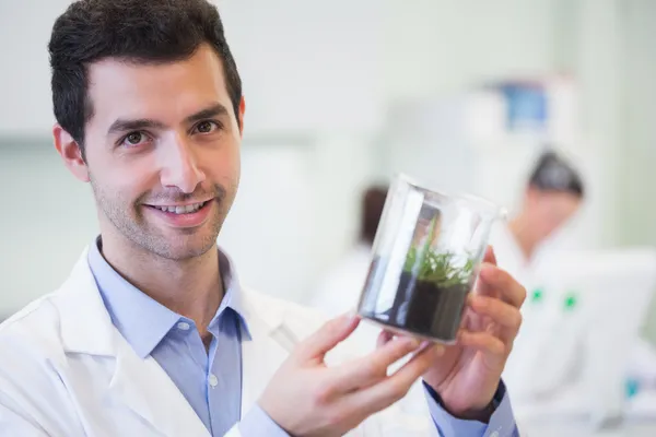 Smiling male researcher holding young plant at lab