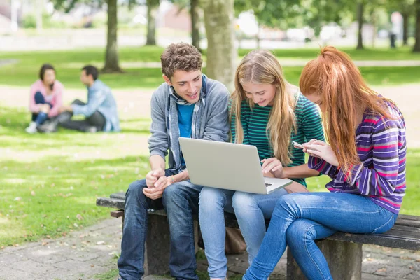 Young college students using laptop in park