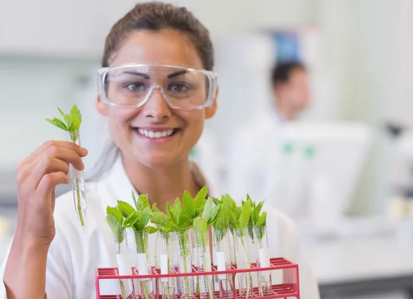 Smiling female scientist analyzing young plants at lab