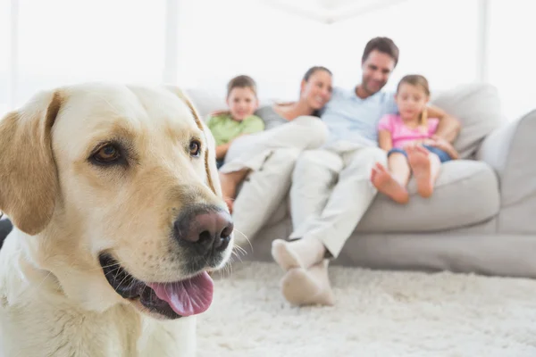 Happy family sitting on couch with their pet labrador in foreground