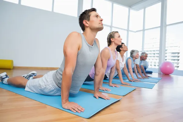 Group doing cobra pose in row at yoga class