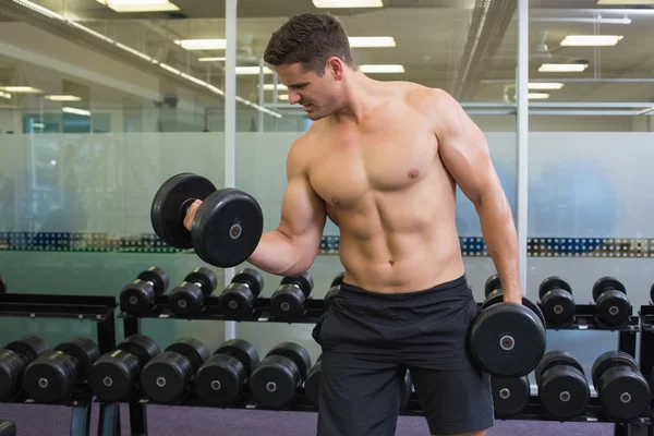 Bodybuilder lifting heavy dumbbells