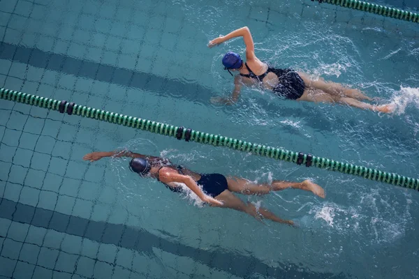 Female swimmers racing in pool
