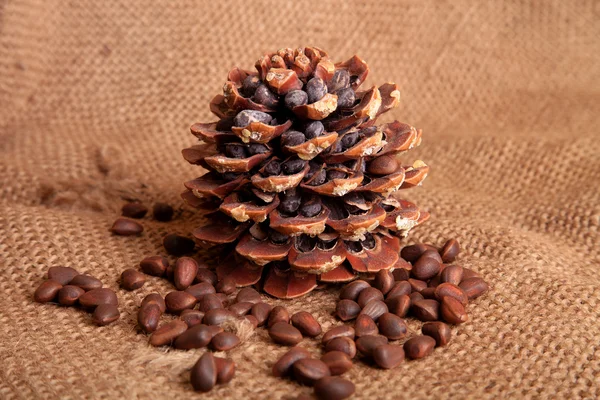 Siberian pine nuts