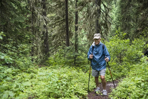 Senior active man hiking