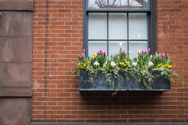 Window box with spring flowers