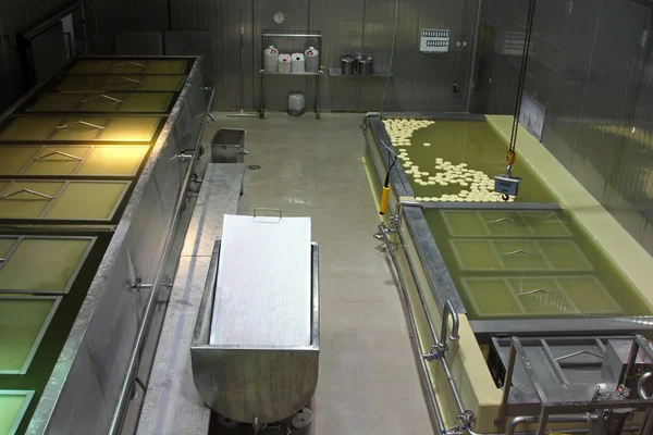 Cheese-making processes at Milk and Cheese factory, Austria