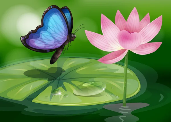 A butterfly near the pink flower at the pond
