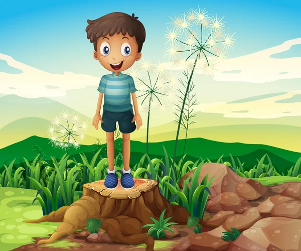 一个男孩站以上树桩 - 图库矢量图像 interactim