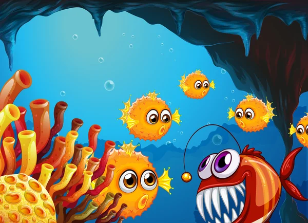 A group of puffer fishes and a scary piranha inside the cave
