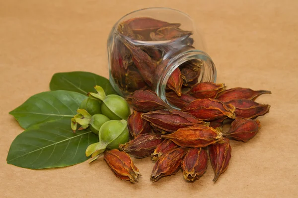 Gardenia Fruit,Cape Jasmine Fruit chinese herbal medicine