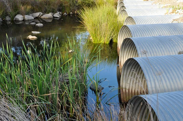 Drainage Pipes flowing into Green Pond