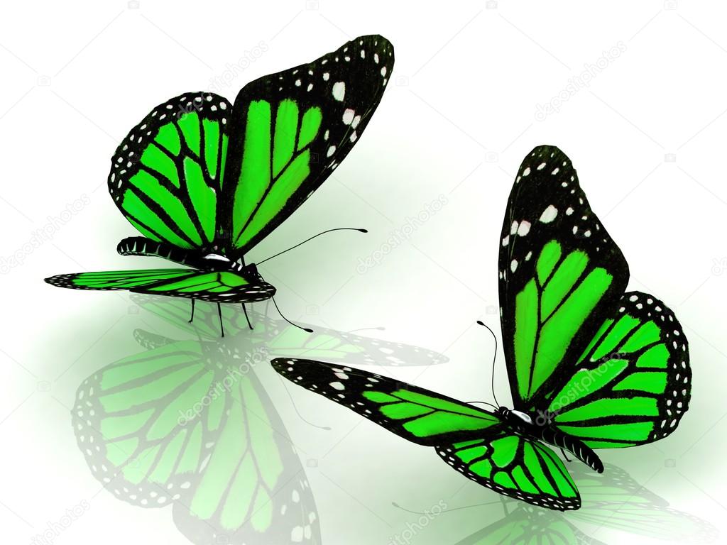 Green Butterflies