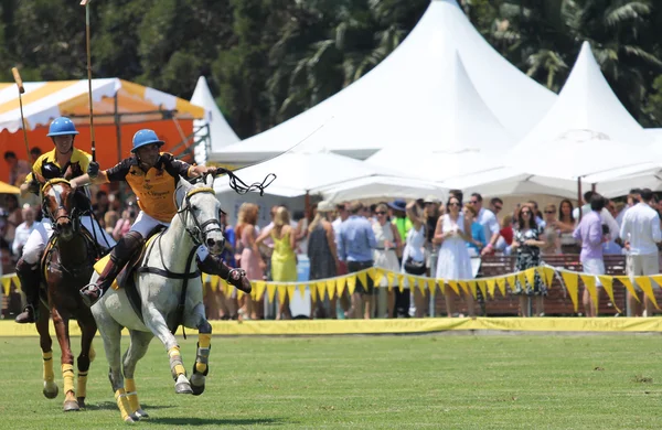 Polo Players and Horses