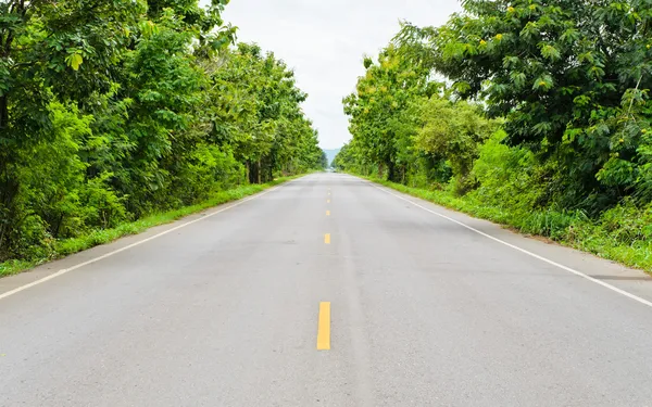 Countryside road