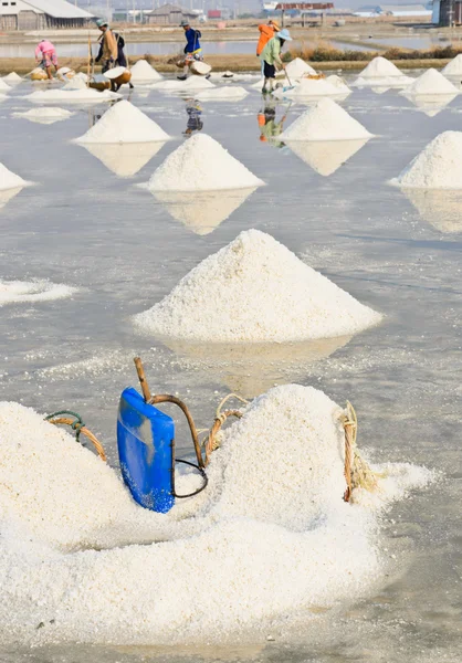 Sea salt piles