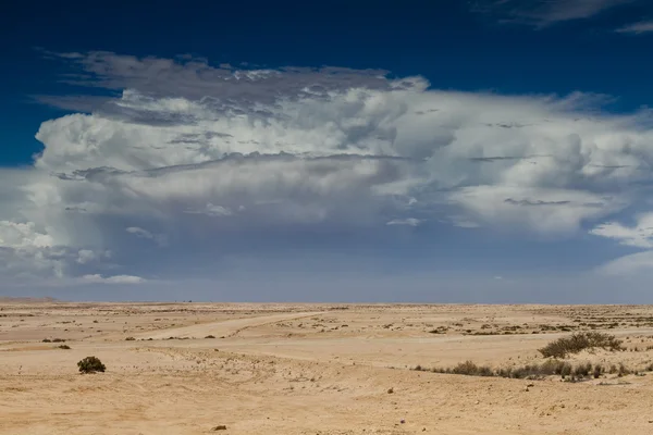 Thunderstorm approaching over the desert