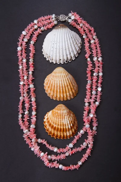 Coral beads and seashell