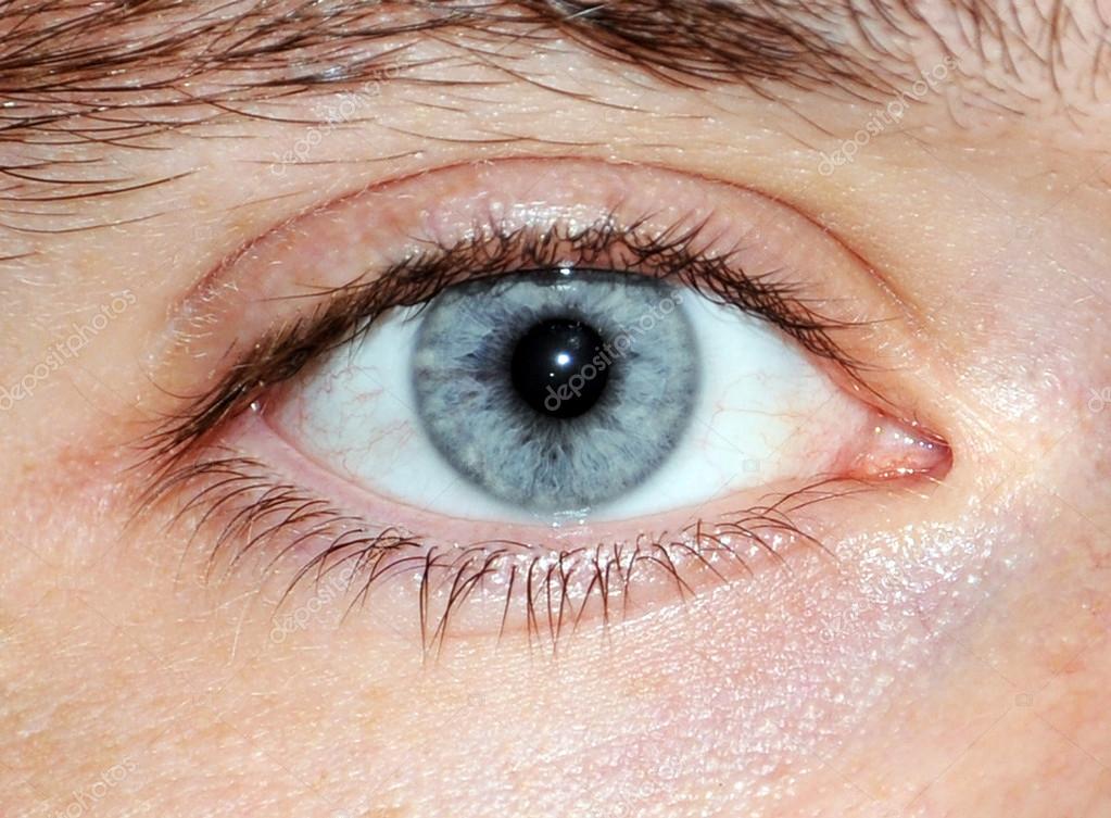 depositphotos_12596511Bluemaleeye.jpg (1023×753) Male, Male eyes, Blue