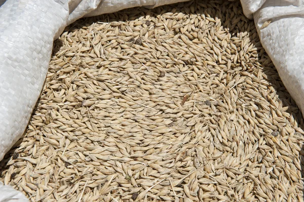 A grain packed in a bag