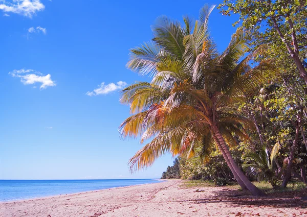 Midday from beach of Puerto Rico