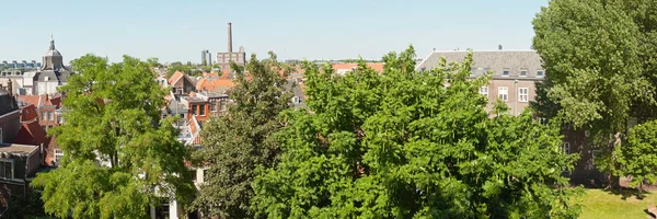 Panoramic photo of roofs and trees of dutch city Leiden in summe