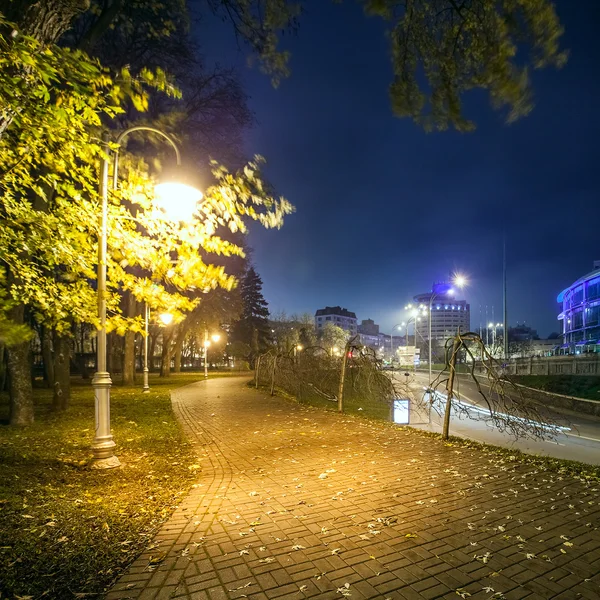 The avenue of city park at night