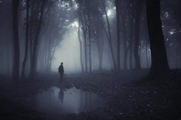 Man on edge of lake in a dark forest with fog