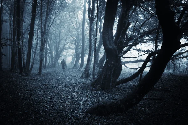 Man in dark forest with fog on halloween