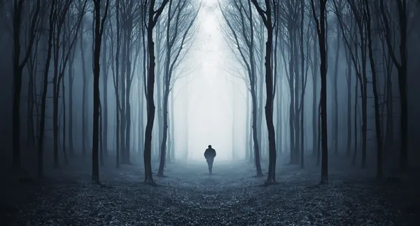 Man walking in a mysterious surreal forest with fog
