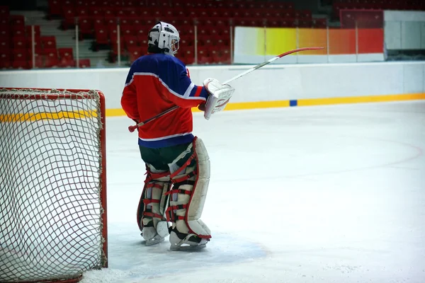 Hockey goalie