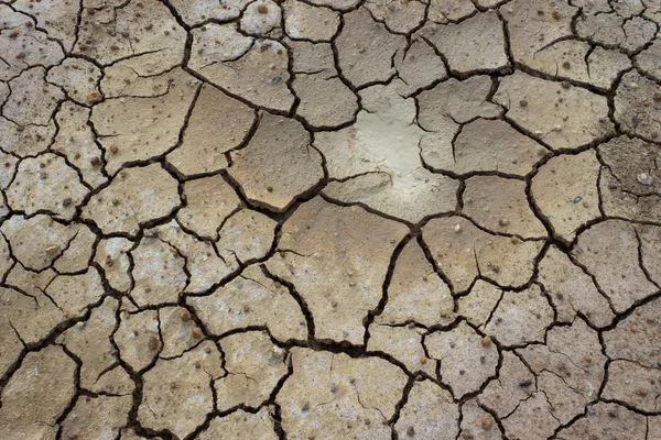 Cracked clay ground into the dry lake