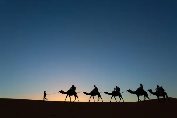 Camel caravan going through the desert