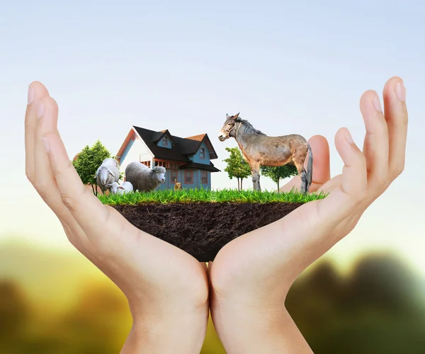 手控股房子 - 图库照片violetkaipa#32040741