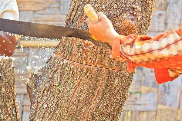 Logger man cutting wood