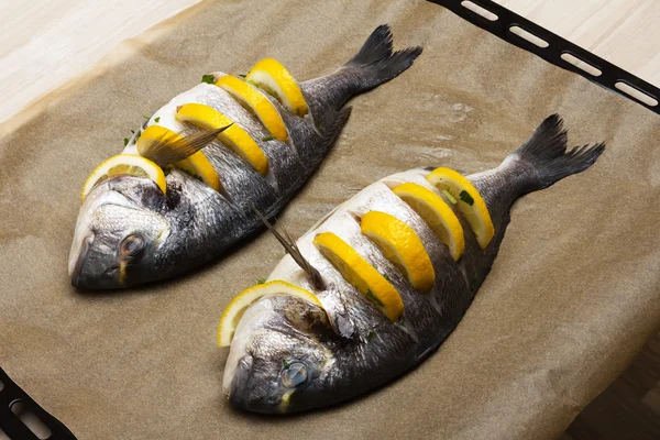 Cooked fish sea bream fish