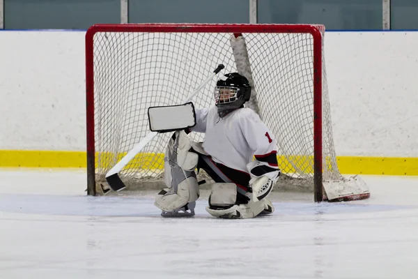 Ice hockey goaltender in front of net